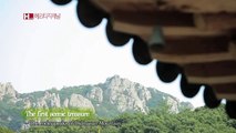 [TV ZONE] Three Scenic Treasures of Mihwangsa Temple on Dalmasan Mountain