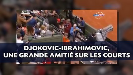 Djokovic-Ibrahimovic, une grande amitié sur les courts