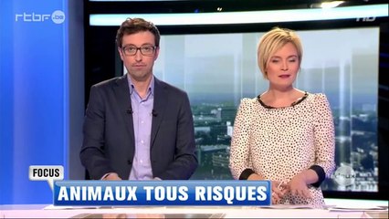 Chaîne RTBF.be - Animaux Tous risques (Vidéo à partir de 5min et 55sec)