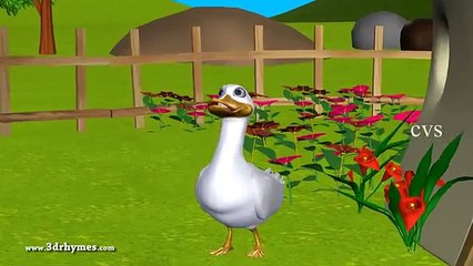 Five Little Ducks went out one day - 3D Animation English Nursery rhymes for children