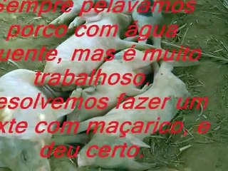 DESPELANDO PORCO COM MAÇARICO / MUITO PRÁTICO