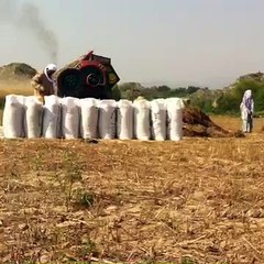 22 village owner of Malik Bilal.