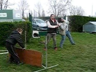 Aurore au saut de haie