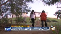 Sheriff's Dept.: Fallbrook woman pushing stroller attacked, sexually assaulted