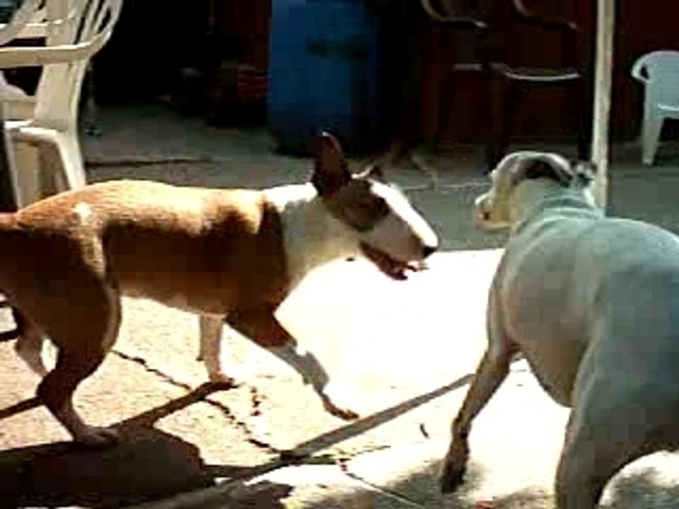 BUFFY ET ITI 3