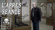 L'APRÈS-SÉANCE - Un pigeon perché sur une branche philosophait sur l'existence