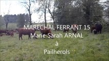 MARECHAL FERRANT 15, Marie Sarah ARNAL à Paihlerols 2014