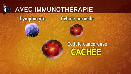 L'immunothérapie, un traitement prometteur contre le cancer