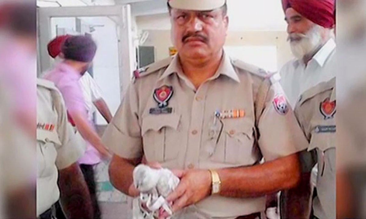 White pigeon arrest india