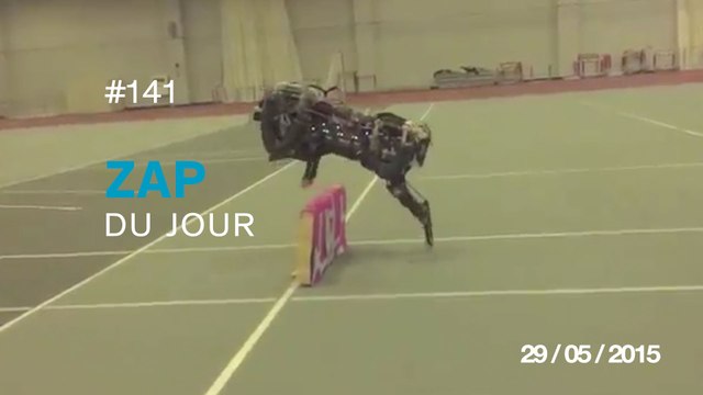 ZAP DU JOUR #141 : Allumer 300 fusées d'un coup / Lost in New Zealand / Hommage 10 ans youtube / Ecureuil cascadeur /