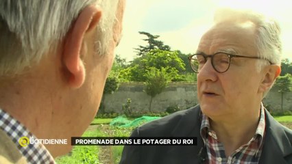 Le potager royal d'Alain Ducasse à Versailles !