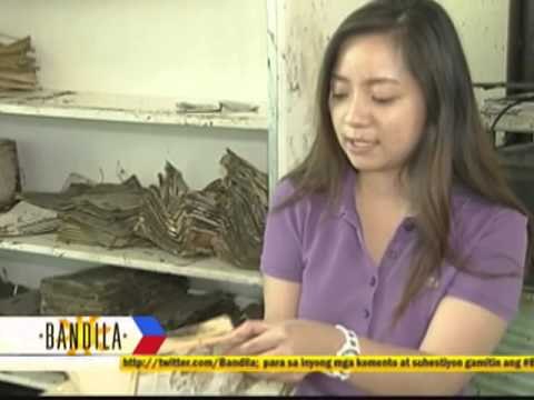 Tacloban gov't workers killed by super typhoon