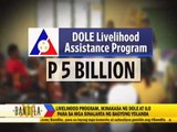 Livelihood program launched for 'Yolanda' survivors