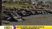 'Yolanda' death toll continues to rise