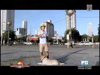 Download Video: How super typhoon Yolanda started