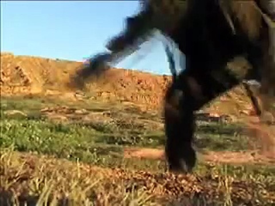 Israeli Army Milueim Action