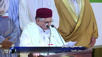 زعماء قبليون ليبيون يتوافقون في القاهرة على تشكيل مجلس تمثيلي