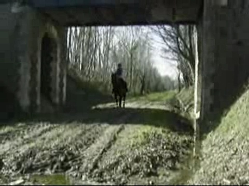 Petit fossé en selle au trot