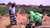 Burkina Faso le réchauffement climatique qui épuise les sols : jardin de santé