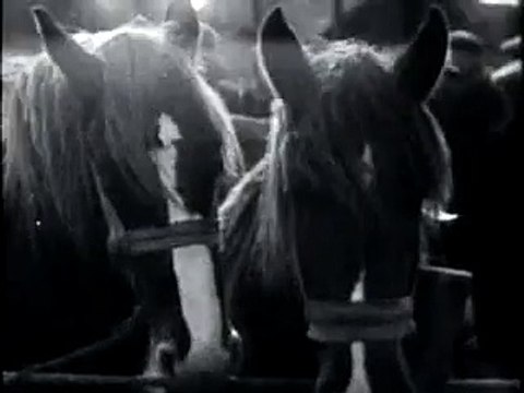 Paardenmarkt - 1 november 1927