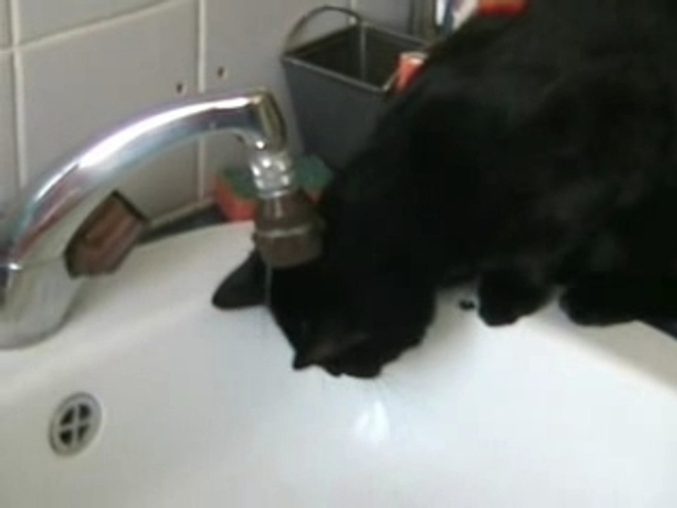 Et l'eau