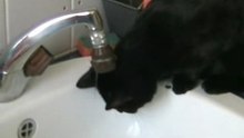Et l'eau
