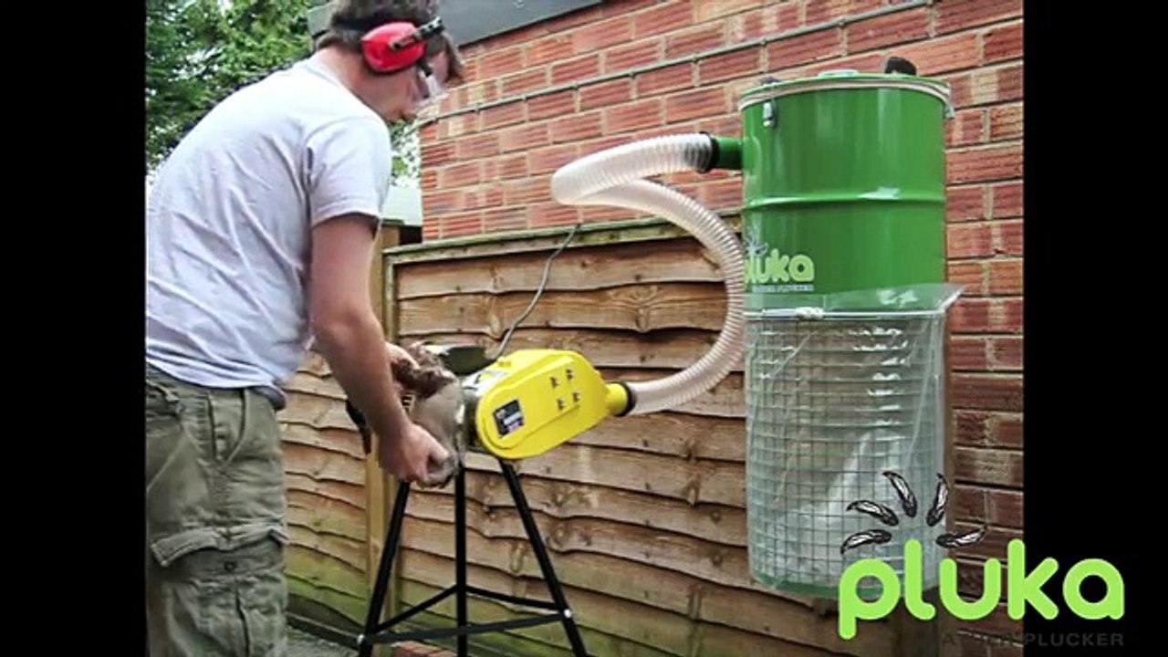 Plucking a duck using the P71 pluka feather plucking machine