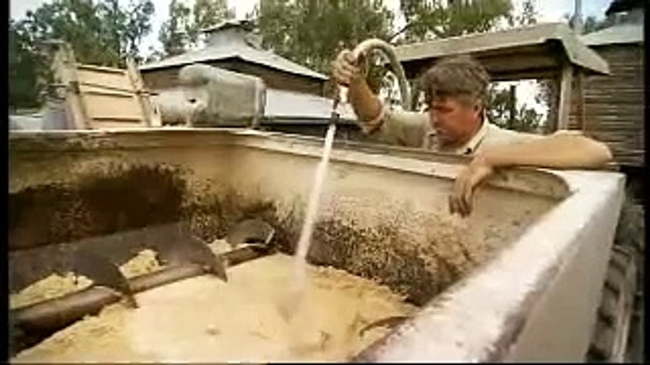 FreeRange