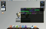 Ubuntu 9.04 RC - Gnome/Compiz Effects