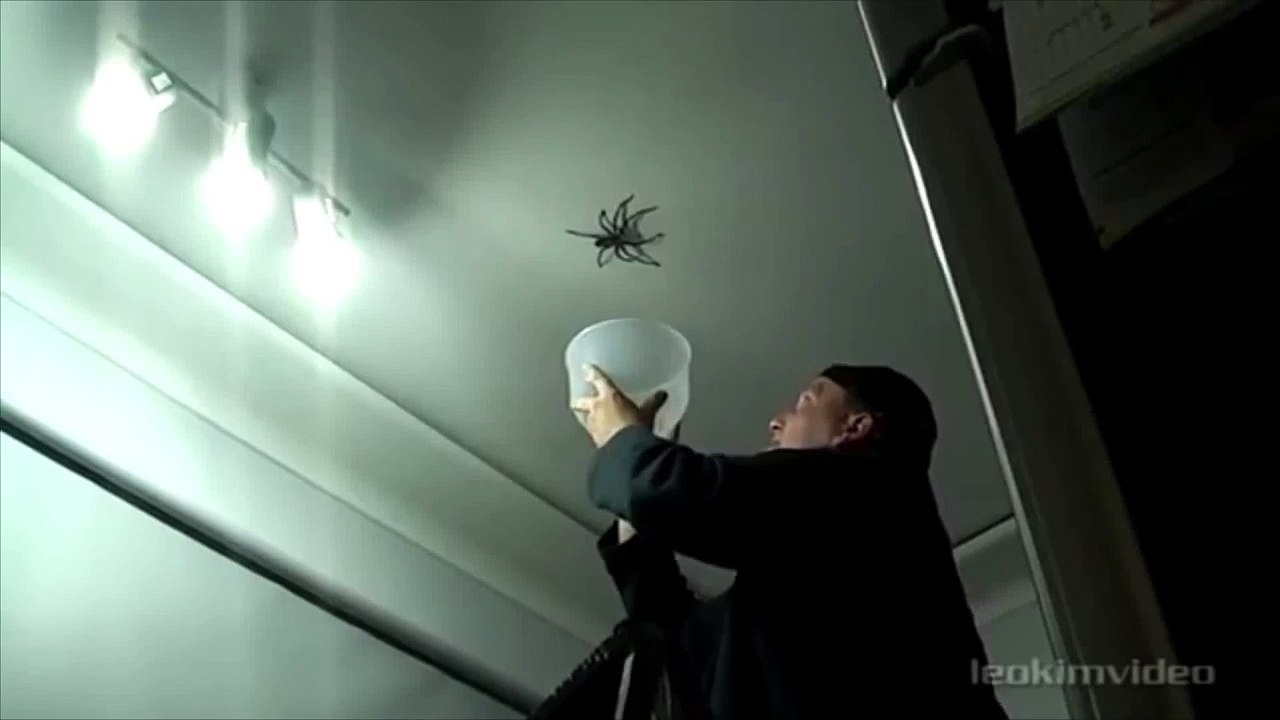 The Google app: Huntsman