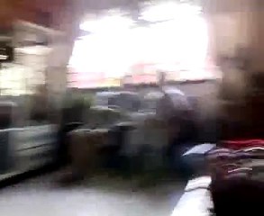 kumkum dog at kumkum house