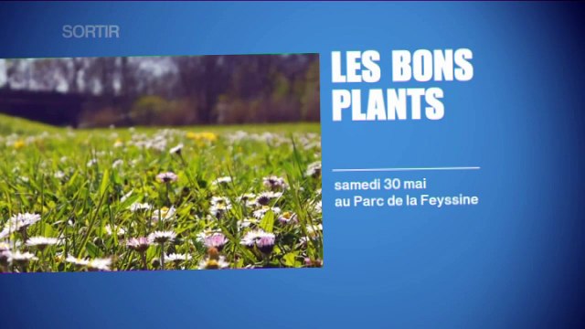 Journal du Grand Lyon : agenda 30 & 31 mai 2015