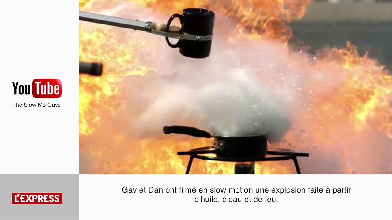 Un cheval souffle ses bougies d'anniversaire - Le Zapping insolite