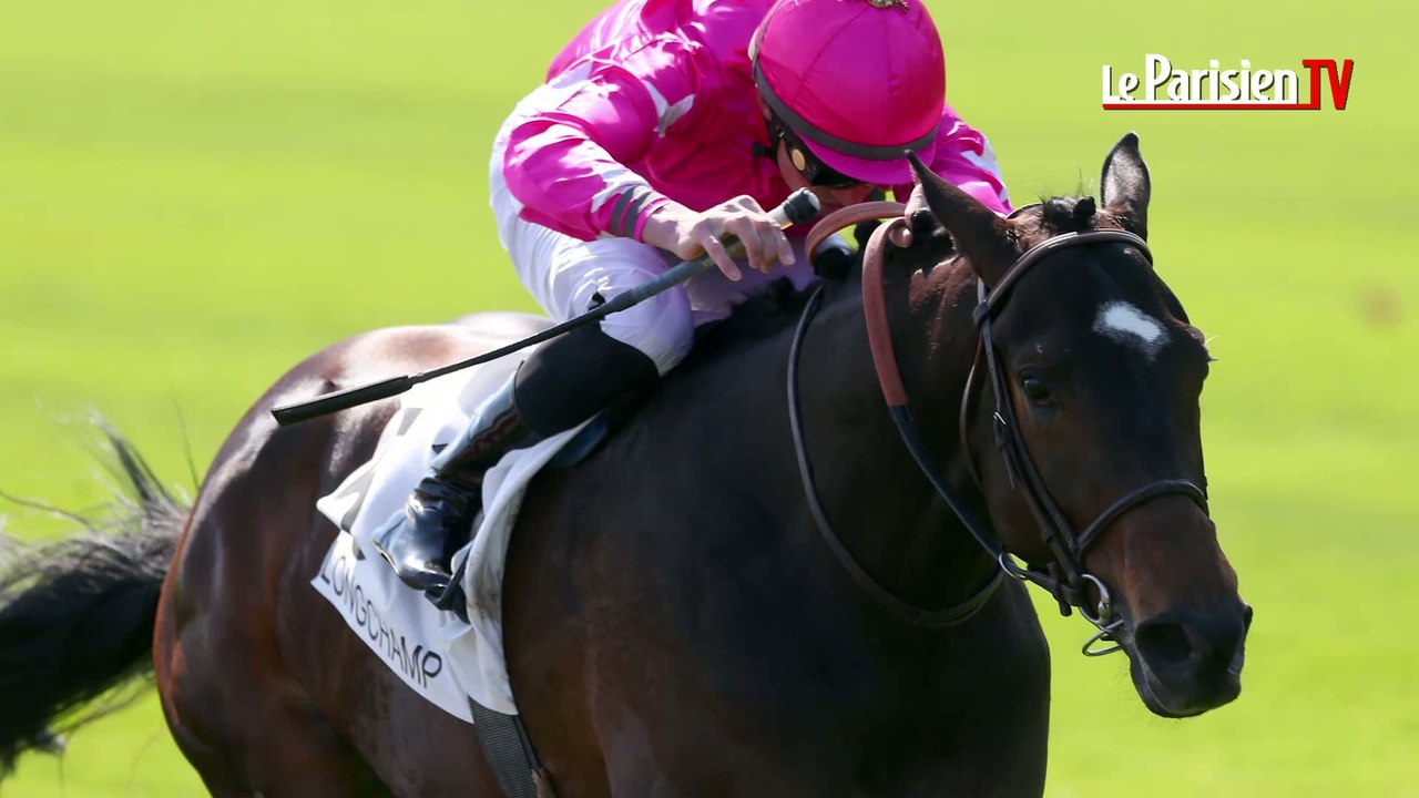 L'écurie du Parisien. Les favoris du prix du Jockey club