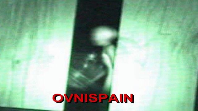 EXTRATERRESTRE GRIS CAPTURADO EN BRASIL FAKE SUSUPUESTO CREADOR ES Philipe Kling David