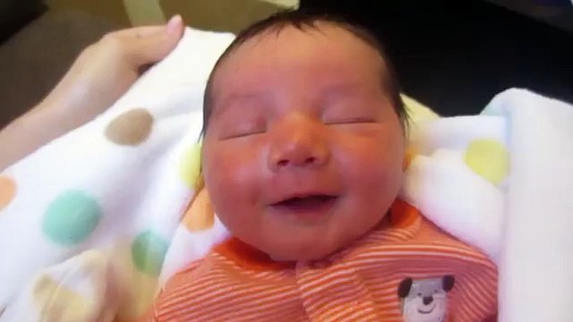 Ce que fait ce chien et qui fait rire ce bébé