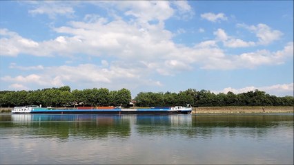 CAMAËL avalant sur le barrage de Thoissey le 29 mai 2015
