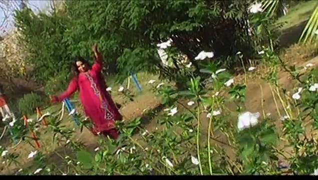 Hashmat Sahar, Sitara Younas - Makawa Singaar