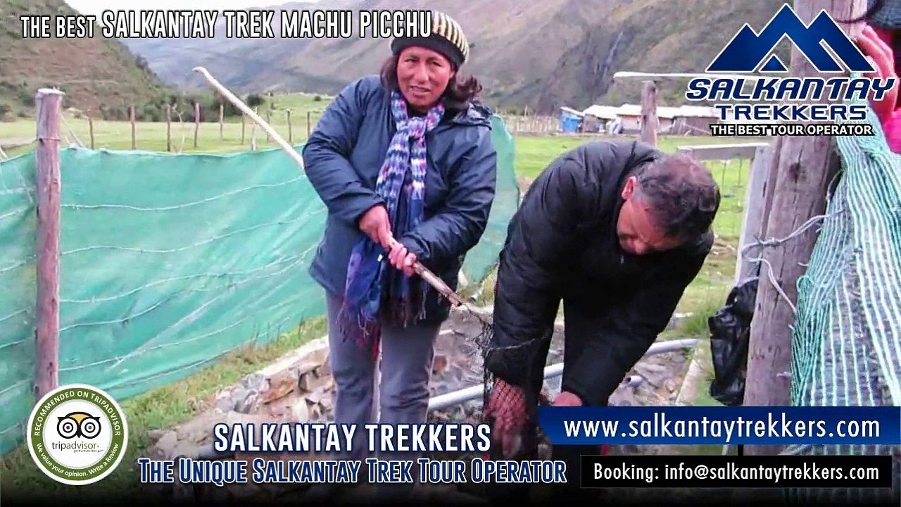 SALKANTAY TREKKERS, The Best Salkantay Trek to Machu Picchu. 100% Tour Operator