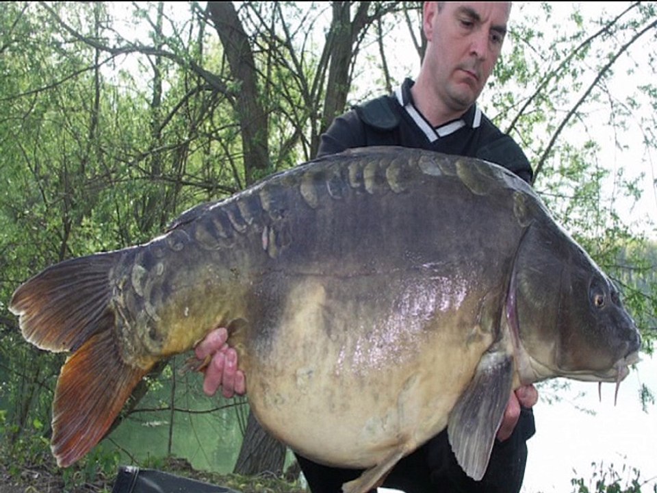 Un début de saison de pêche a  la carpe mémorable ( 16/9 H D )