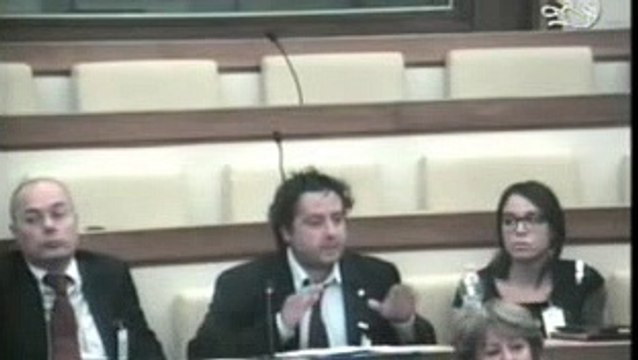 Anief audizione VII Commissione Senato su questioni relative alla riforma del sistema nazionale di istruzione (28 Maggio 2015) - IDONEI - #GMconcorso2012