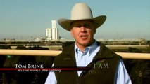 I Am Angus: Tom Brink, JBS Five Rivers Cattle Feeding