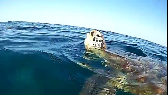 KODAK Pixpro SP1 WVGA 120