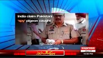 Ahmed Qureshi Classic Chitrol Of Indians On Saying We Caught Pakistani Spy Pigeon