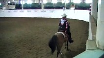 Region 4 Championship Arabian Horse Western Pleasure Select