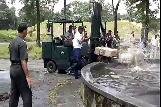 A trapped wild elephant cub struggles in the waters of a reservoir tank during a rescue mission by Indian army personnel at Bengdubi army cantonment area some 25 kms from Siliguri on August 30, 2011 A wild elephant cub fell into the water rese