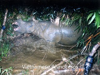 Исчезнувшие с лица Земли животные