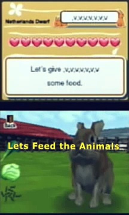 Animal Paradise DS