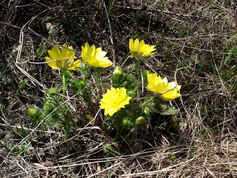 Торатау или Нам - 4!