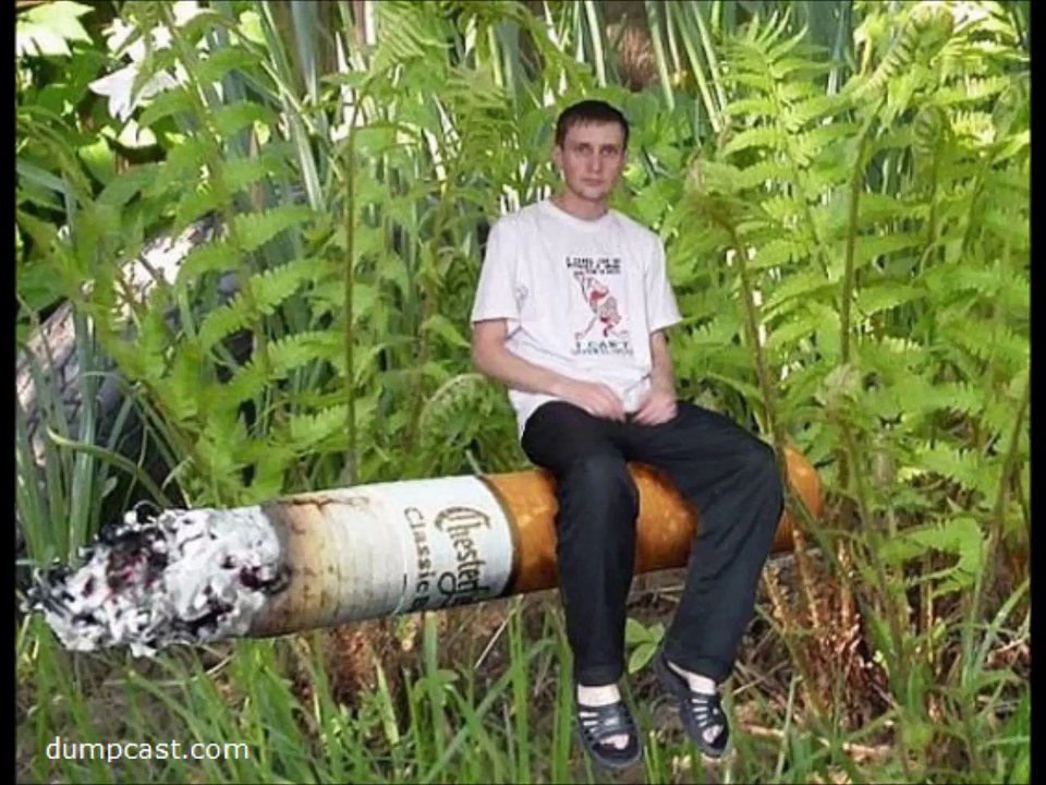 30 best funny photos processed neatly in Photoshop - 30 mejores fotos divertidas procesan de forma ordenada en Photoshop